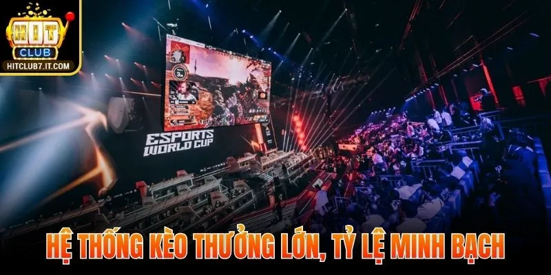 Hệ thống kèo thưởng lớn, tỷ lệ minh bạch và cơ hội nhận cao nhất