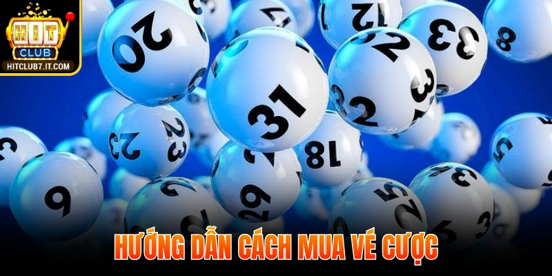 Hướng dẫn cách mua vé cược cho hội viên